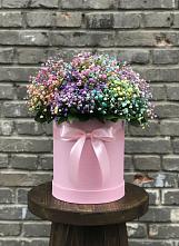 Цветочная композиция из Гипсофила и Розы в шляпной коробке в Семилуках