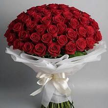 Букет 101 Красная роза Блэк Мэджик #REPLACE_PRED# Семилуках