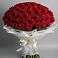Букет 101 Красная роза Блэк Мэджик в Семилуках
