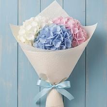 Букет цветов из:  Гортензия в Семилуках