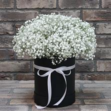 Цветочная композиция из Гипсофила в шляпной коробке в Семилуках