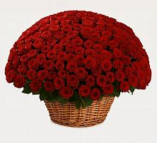 Премиум букет из: Розы в Семилуках